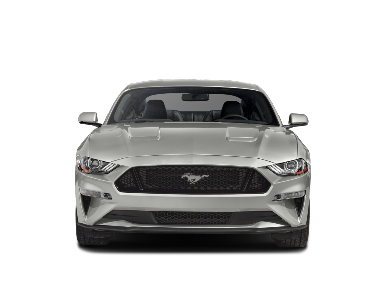 2019 Ford Mustang ROUSH GT