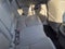 2013 Acura RDX Technology Package