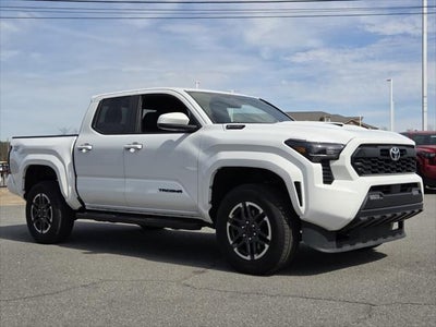 2024 Toyota TACOMA TRD SPORT TRD Sport