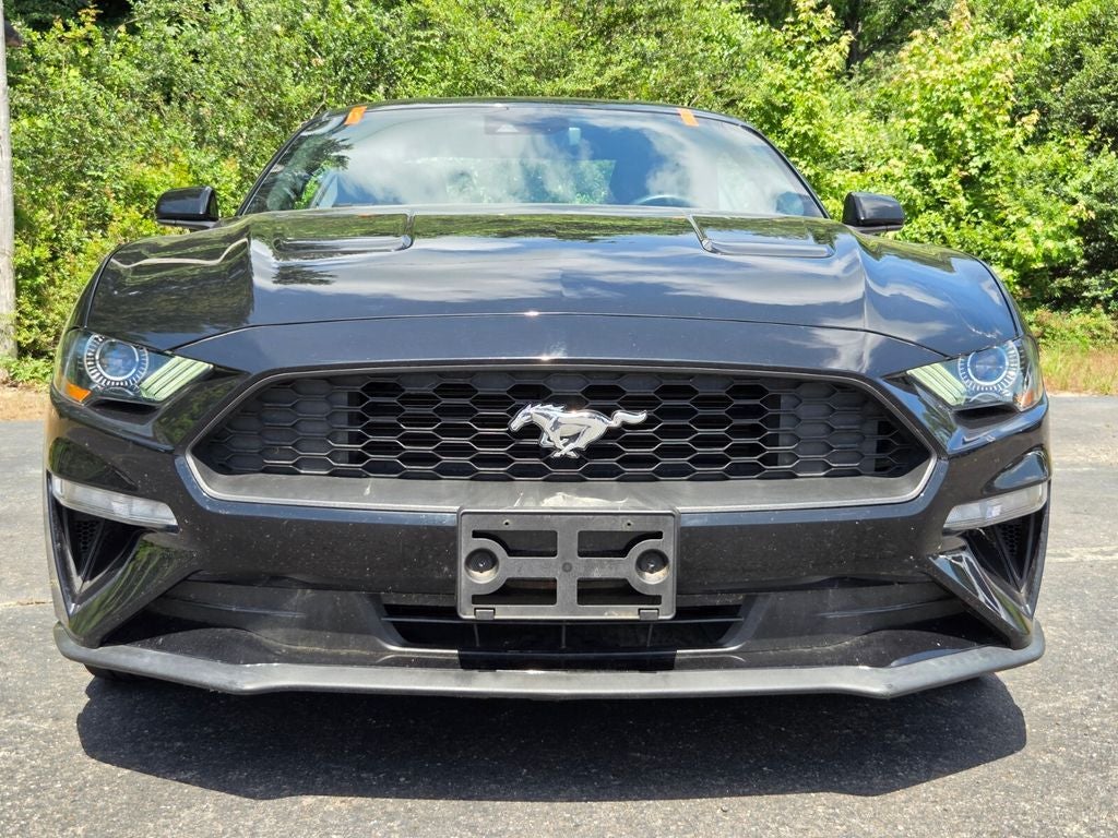 2022 Ford Mustang EcoBoost