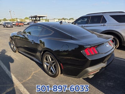 2025 Ford Mustang EcoBoost