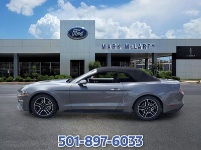 2022 Ford Mustang EcoBoost