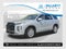2024 Hyundai Palisade SEL 7 Passenger