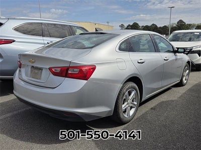 2019 Chevrolet Malibu LS 1LS