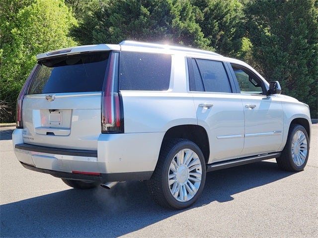2019 Cadillac Escalade Platinum Edition